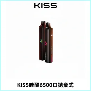 KIS5WAGOO哇酷6500口拋棄式 | 自由混搭雙口味 | 雙芯組合