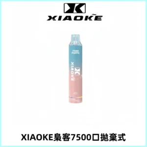 XIAOKE梟客7500Puffs跑馬燈拋棄式電子煙 可發光一次性